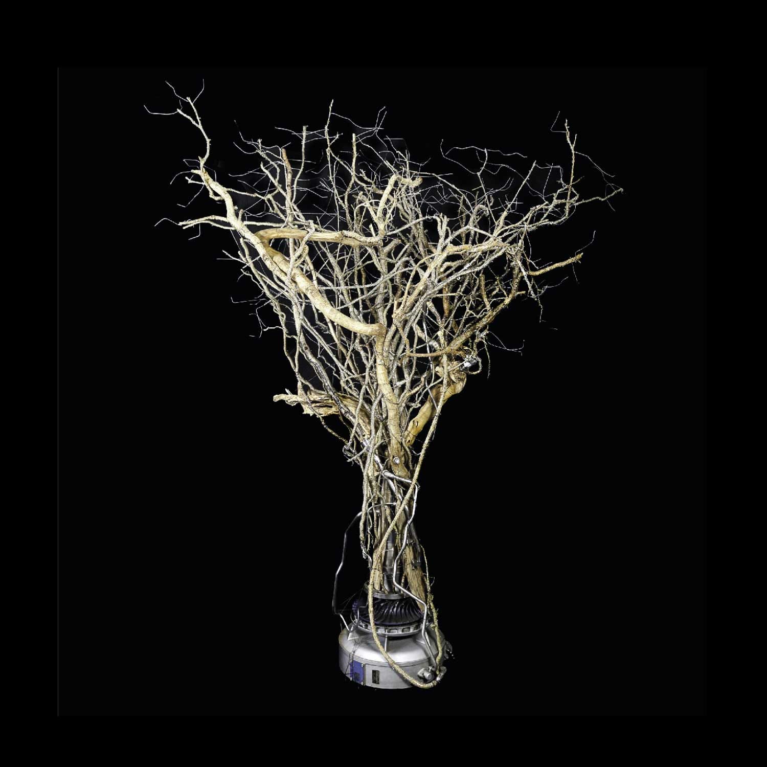 Aerosculpt-Trees-Of-Freedom-Number-3